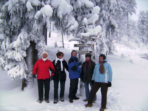 2010 12 erzgebirge wald