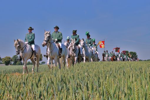 2011 06 02 gymnicher ritt 2 feld 1