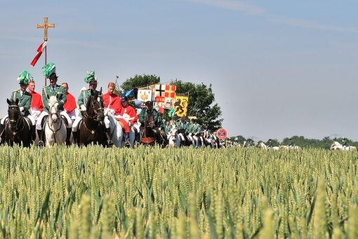 2011 06 02 gymnicher ritt 2 feld 2