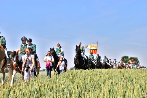2011 06 02 gymnicher ritt 2 feld 3