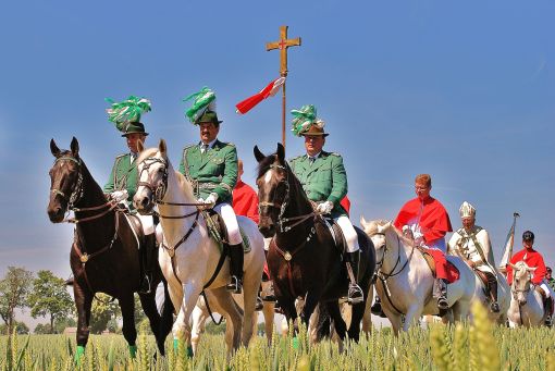 2011 06 02 gymnicher ritt 2 melzer