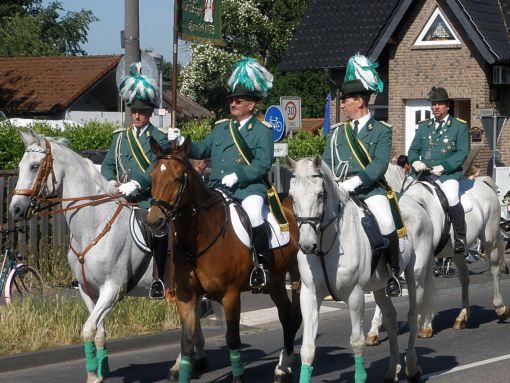 2011 06 02 gymnicher ritt 2 standarte