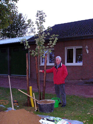 2006 hansfeil baumspender