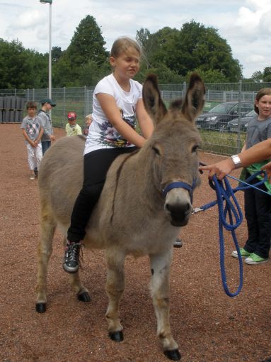 2011 familientag esel