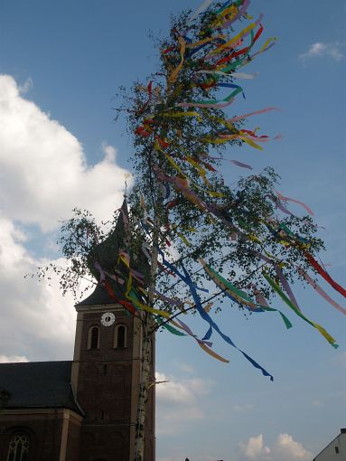 2011 maibaum