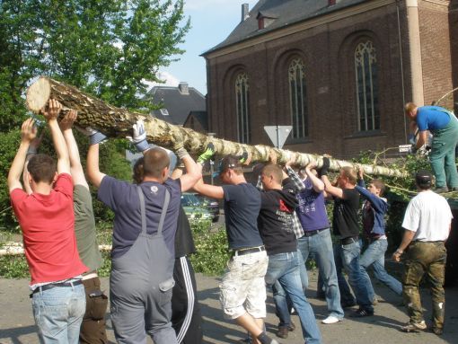 2011 maibaum aufstellung